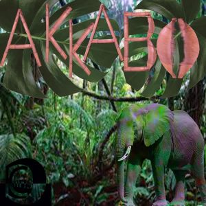 ChrisD – Akkabo