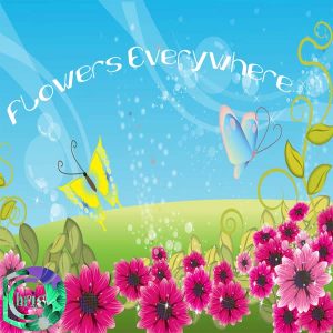 ChrisD – Evrerywhere Flowers