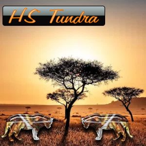 ChrisD – HS Tundra
