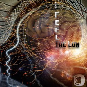 ChrisD – I Feel The Low
