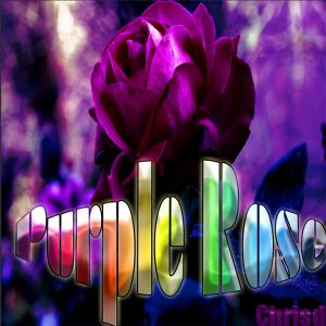 ChrisD – Purple Rose