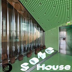 ChrisD – SONG_HOUSE_