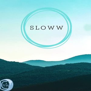 ChrisD – Slowv