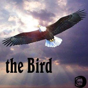ChrisD – The Bird