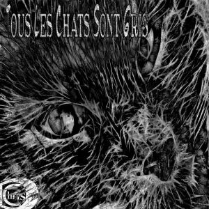 ChrisD – Tous Les Chats Sont Gris