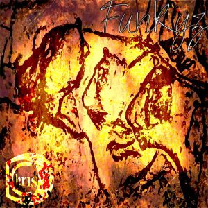 ChrisD – funkyz